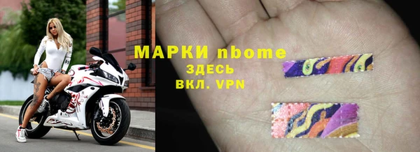 стафф Алзамай