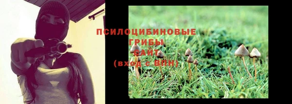 сатива Абдулино