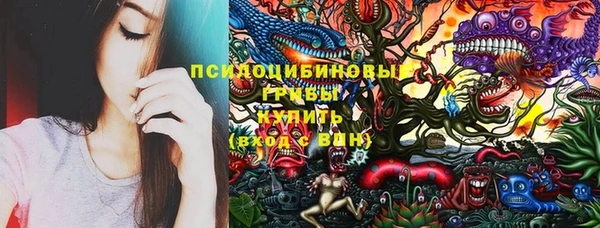 сатива Абдулино