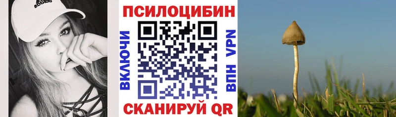 Галлюциногенные грибы мухоморы наркота Стерлитамак